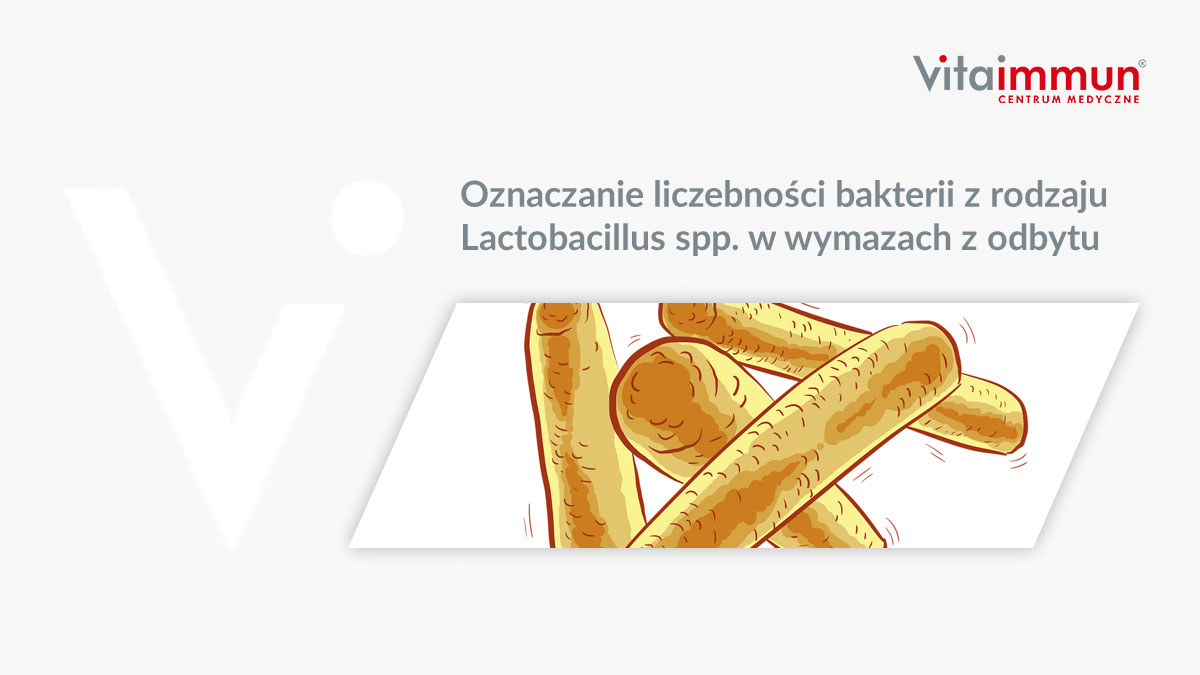 Oznaczanie liczebności bakterii z rodzaju Lactobacillus spp. w wymazach z odbytu